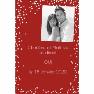 Faire part magnet Charl&egrave;ne et Mathieu