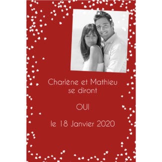 Faire part magnet Charlène et Mathieu