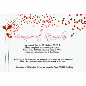 Faire part magnet V&eacute;ronique et Stanislas
