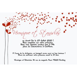 Faire part magnet Véronique et Stanislas