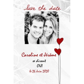 Save the date Caroline et Jérôme
