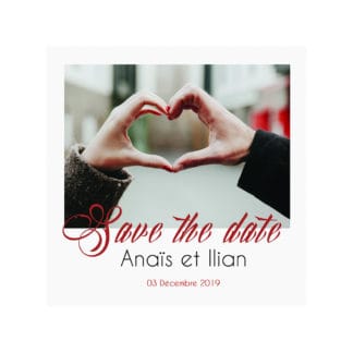 Save the date polaroid Anais et Illian