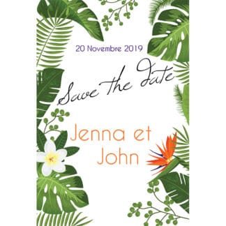 Save the date Jenna et John