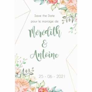 Save the date M&eacute;r&eacute;dith et Antoine